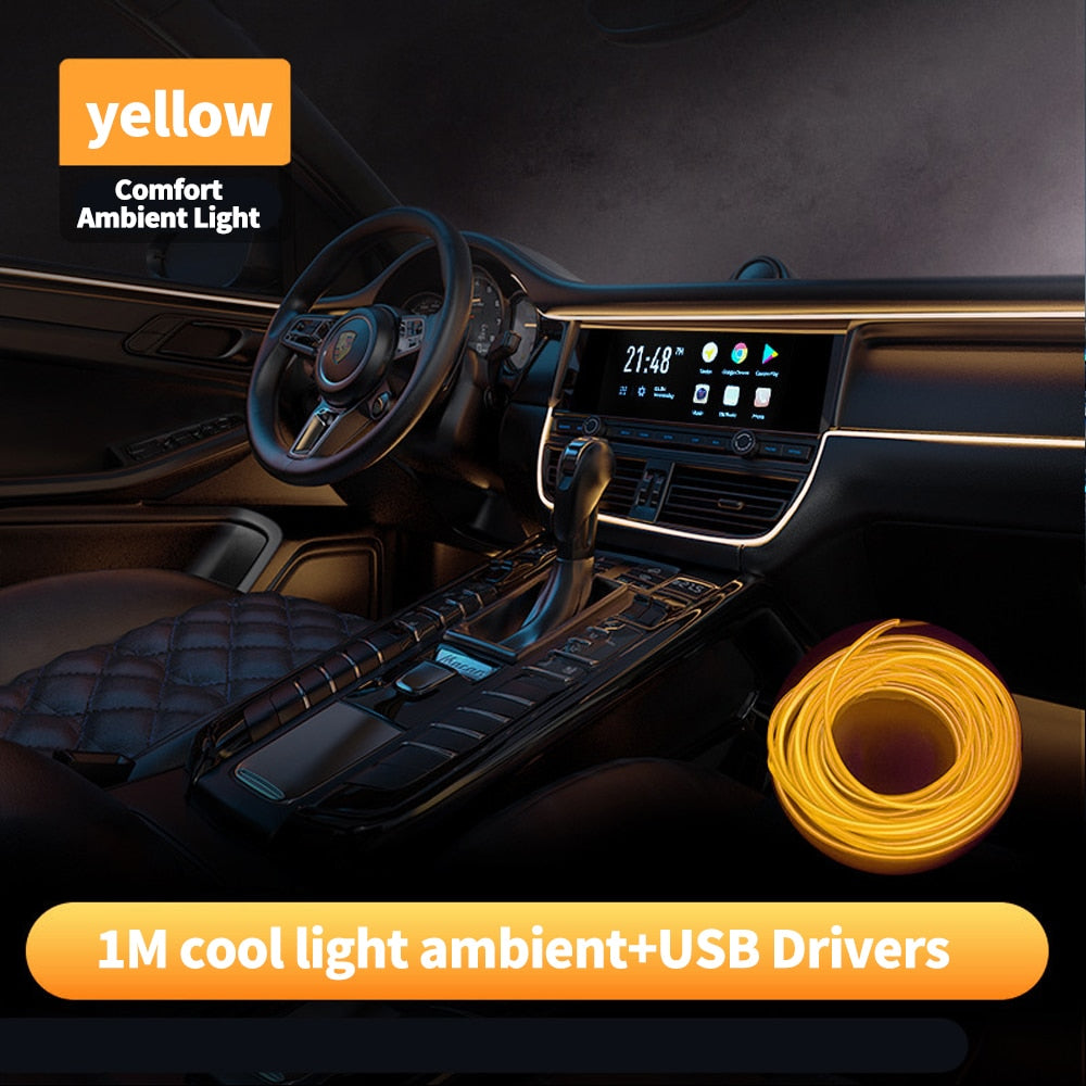 Ambient LED Car Light